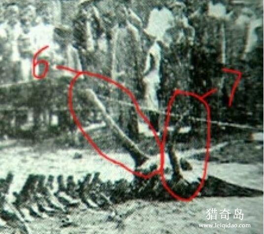 1934年辽宁营口坠龙事件，真实报道过的龙骨迷踪