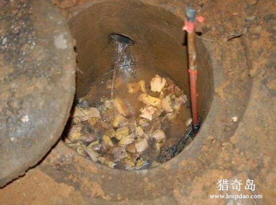南京大学碎尸案，2000多片煮熟尸体中的案件线索