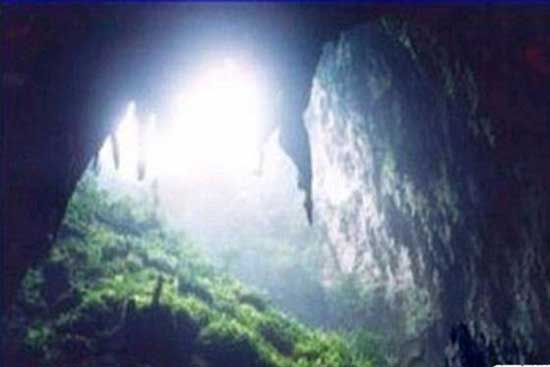 印尼爪哇谷洞真相揭秘，印尼爪哇谷洞里面有什么？