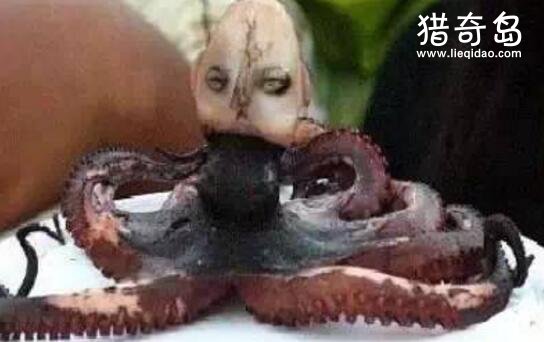 印尼章鱼人诡异至极，会婴儿哭的人面章鱼(被煮变形)