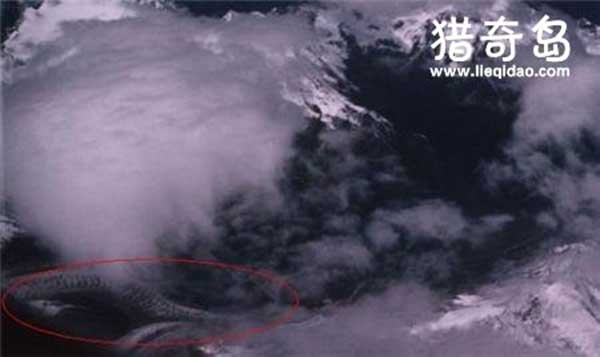 卫星拍到的真龙凤凰，西藏惊现传说生物(假的)