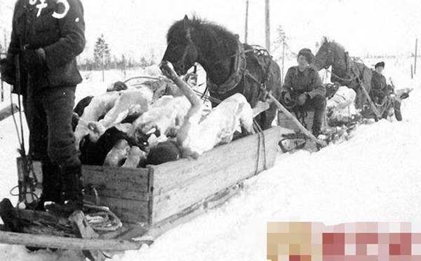 1942芬兰怪物，苏联营地惊现吃人怪物(纯属造谣)