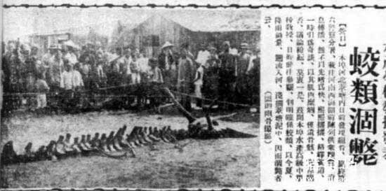 1934年辽宁营口坠龙事件
