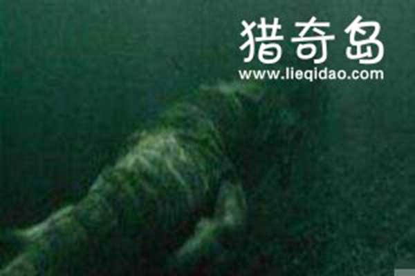 青海湖水怪图片