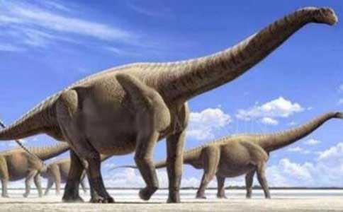 史上最高的恐龙多少米