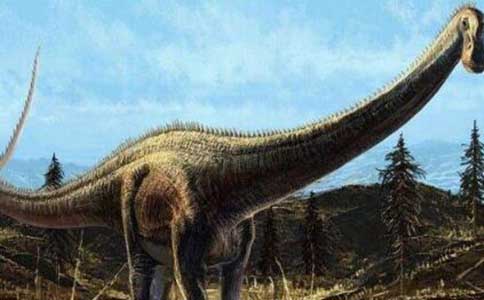 史上最大的恐龙有多大