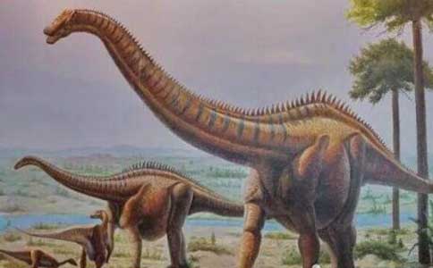 史上最大的恐龙有多大