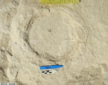 史前文明聚焦阿拉伯半岛：沙特发现距今12万年前的人类脚印_未解之谜