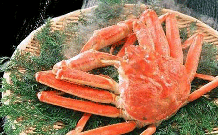 世界上最贵的松叶蟹,以500万日元的价格卖出打破世界吉尼斯纪录