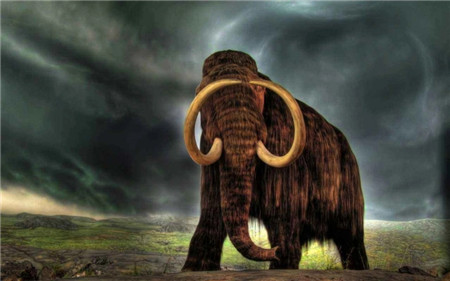 猛犸象为什么突然从地球上消失了?猛犸象灭绝的原因是什么?