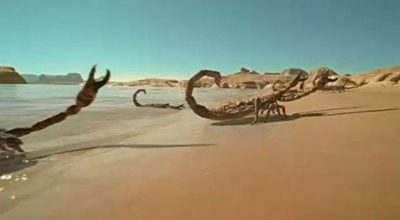 世界上最大的蝎子有多大?可达到3米之长,你有见过吗?