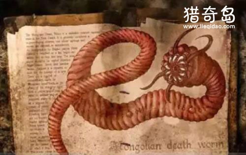 蒙古死亡蠕虫是什么？蒙古死亡蠕虫探索与研究